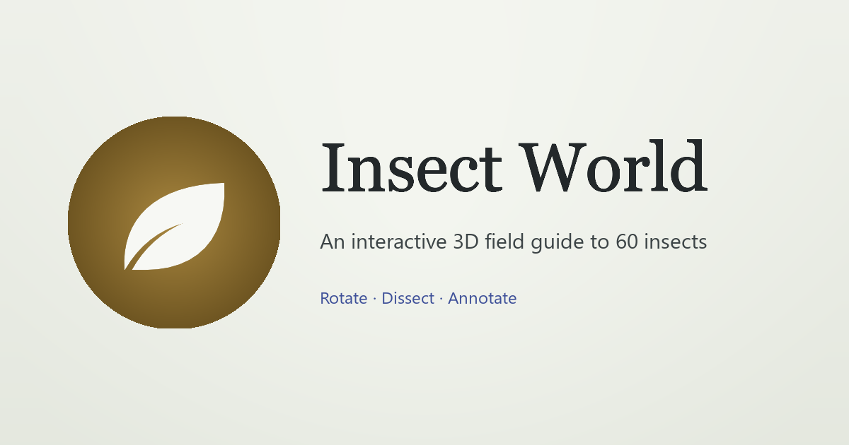 insect-world.pages.dev image